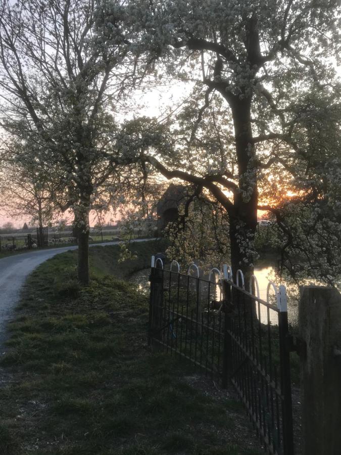 Kasteel Landgoed Crayenstein B&B Tricht エクステリア 写真