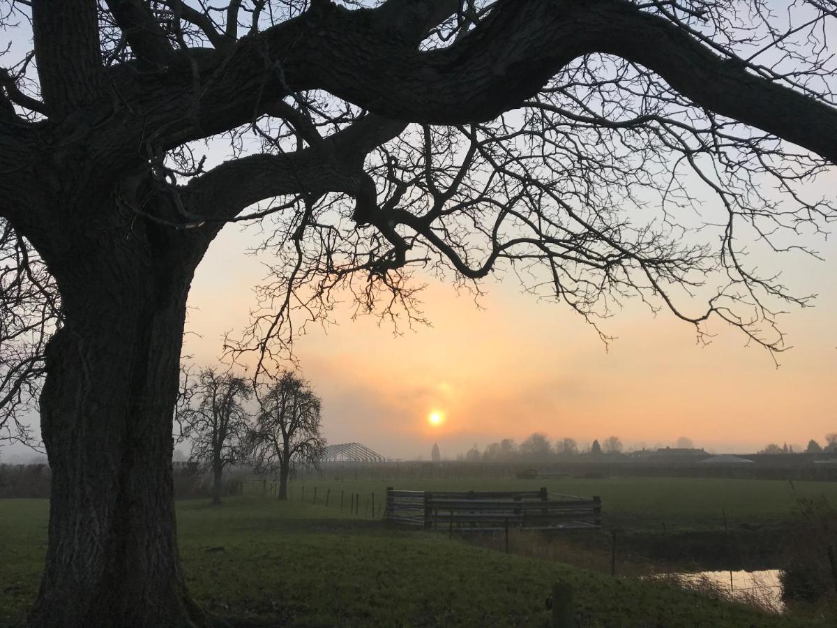 Kasteel Landgoed Crayenstein B&B Tricht エクステリア 写真